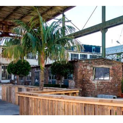 decher_kentie-flaschenstamm-l-400m-500m