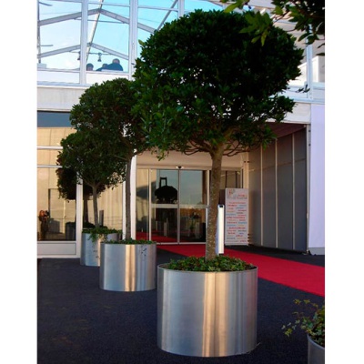 decher_lorbeerbaum-mittel-edelstahlring