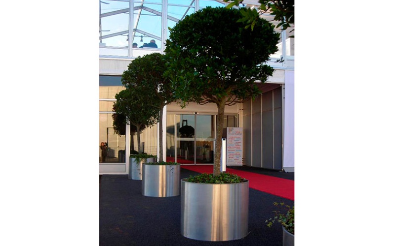 decher_lorbeerbaum-mittel-edelstahlring